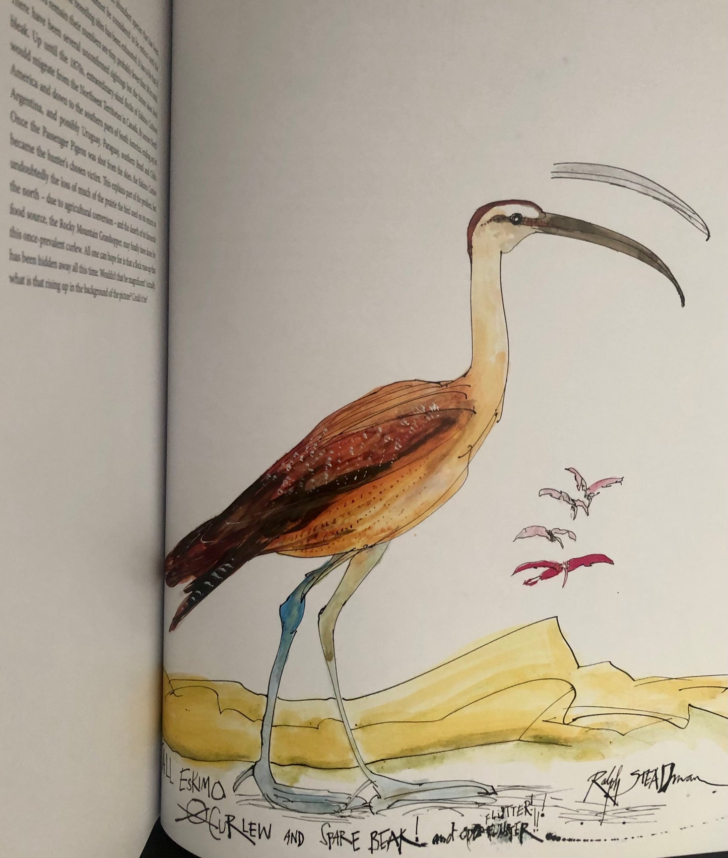 Ralph Steadman's NEXTINCTION - Hardcover First Printing, Double-Signed