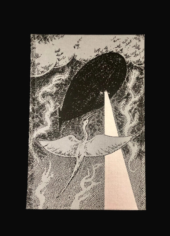 'The Book of Dust' by Philip Pullman, Folio Society edition.